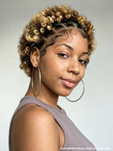Full Lace wig Braided Pixie Wig afro honey