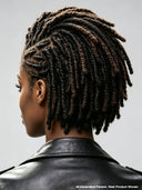 Full lace  Braided hairstyle wig for black woman
