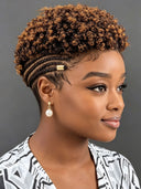 Full Lace with Braided wig afro brown for black woman