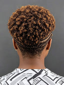 Full Lace with Braided wig afro brown for black woman